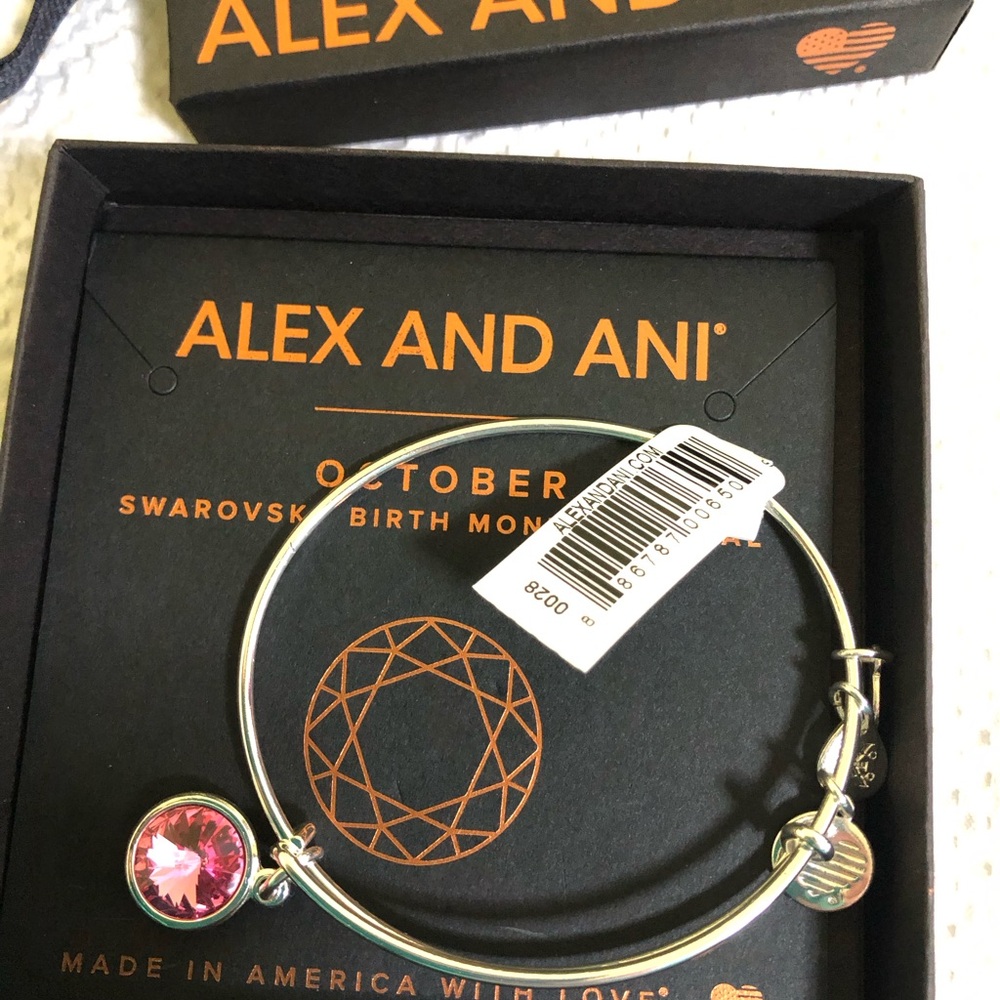 Alex and Ani October Birth Month Bracelet
